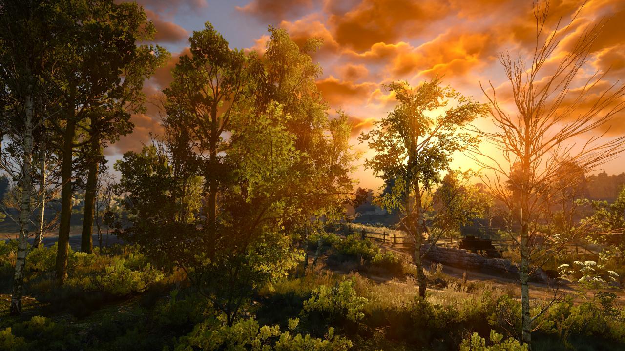[28/05/2015] Wunderschöne Screenshots dank Freecam-Mod, Zeitraffer und Pausefunktion.