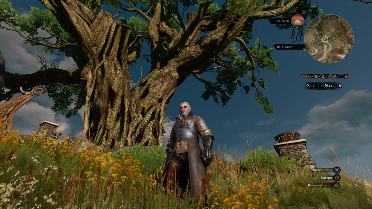 [12/05/2015] The Witcher 3 im Test für PS4.