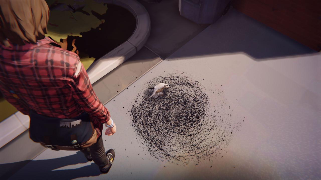 [20/05/2015] Die Zeichen für die mysteriösen Vorgänge in Arcadia Bay häufen sich.
