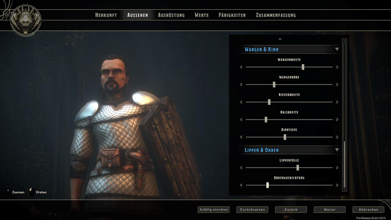 [19/10/2015] Sword Coast Legends: Im Bildschirm für das Aussehen eures Helden gibt es zahlreiche Einträge.