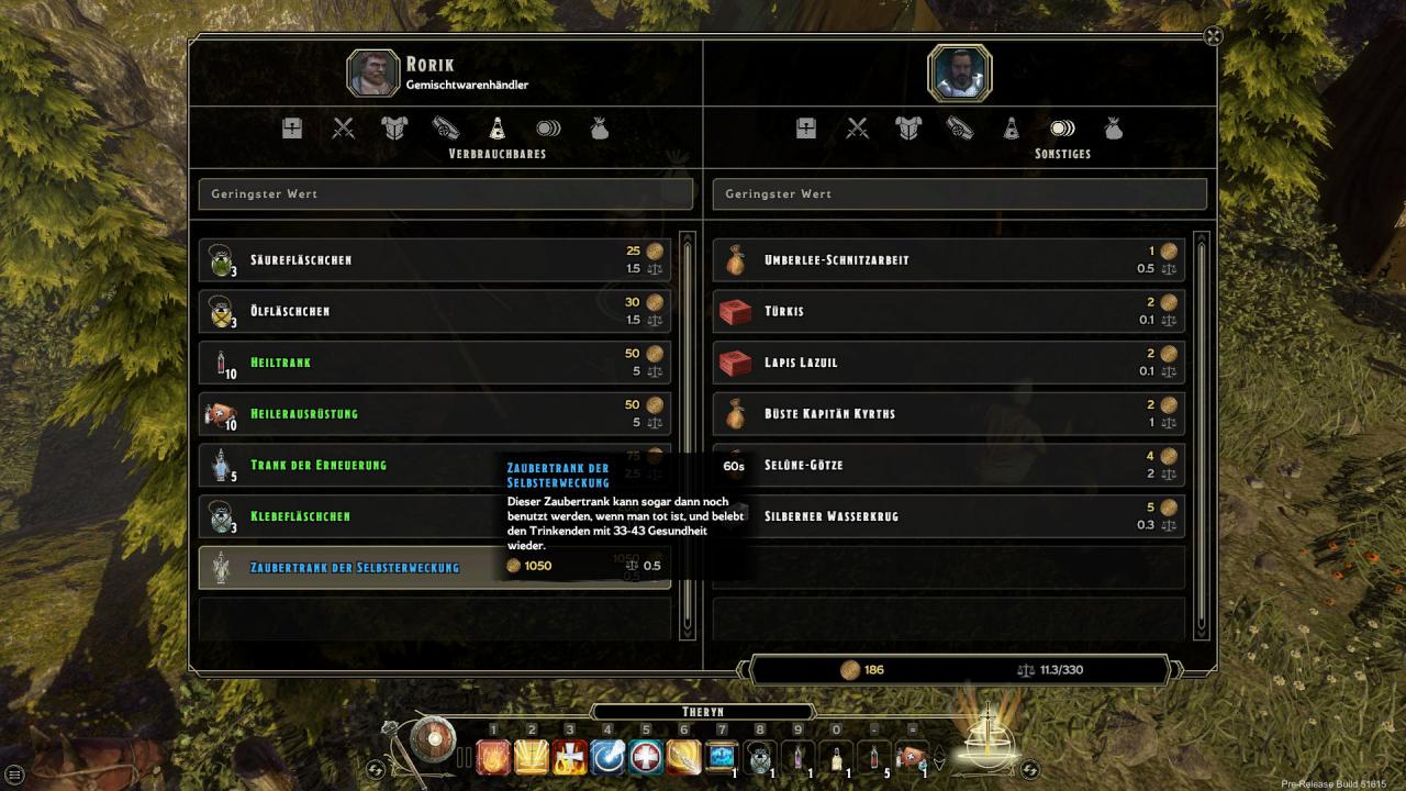 [19/10/2015] Sword Coast Legends: Genretypisch findet ihr zahlreiche NPC-Händler vor.