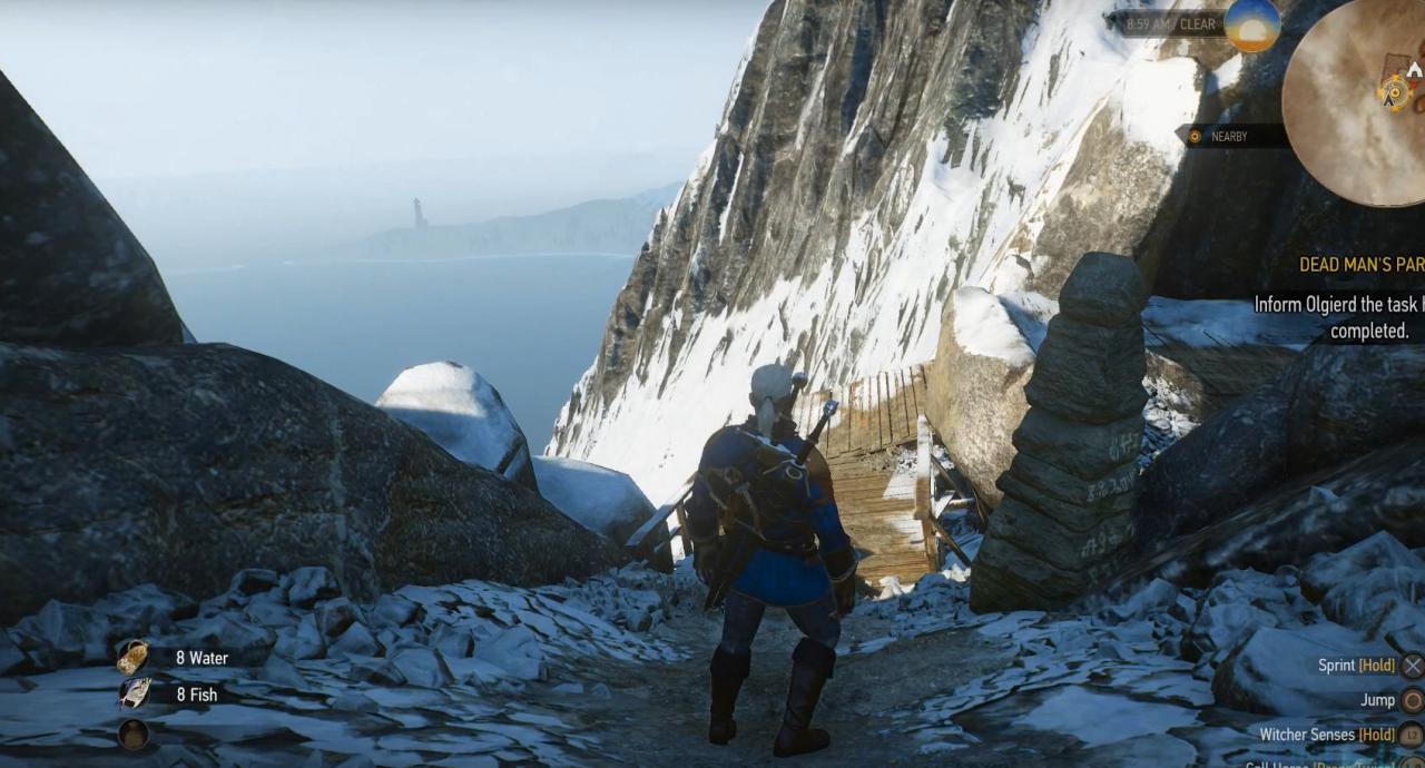 [13/10/2015] The Witcher 3: Hearts of Stone - Erfolg 