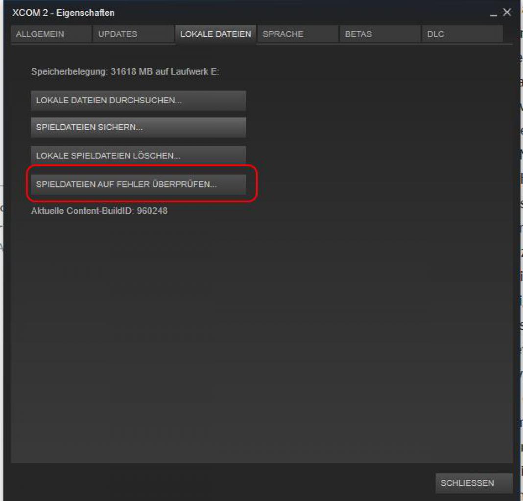 [12/02/2016] Steam: ein Spiel auf Fehler prüfen anstelle einer Neuinstallation