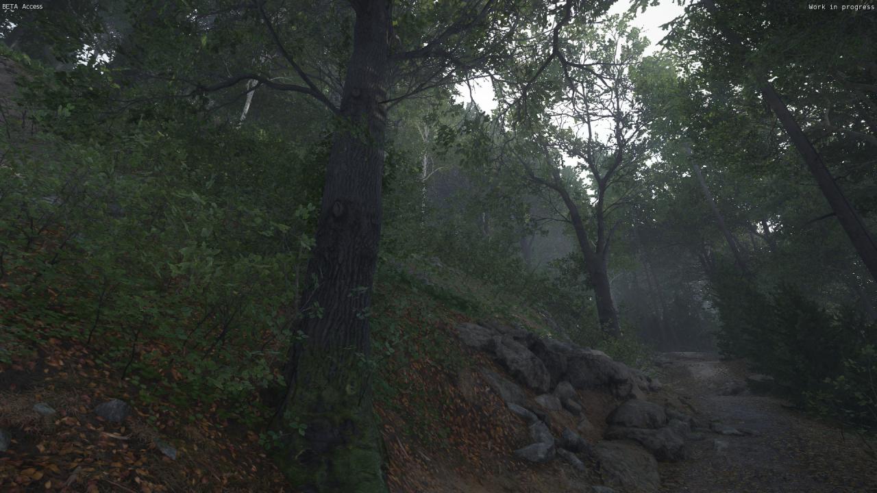[06/03/2016] Kingdom Come: Deliverance, Beta - Unterwegs beim Waldspaziergang