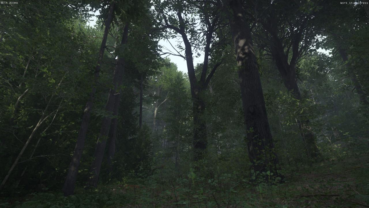 [06/03/2016] Kingdom Come: Deliverance, Beta - Unterwegs beim Waldspaziergang