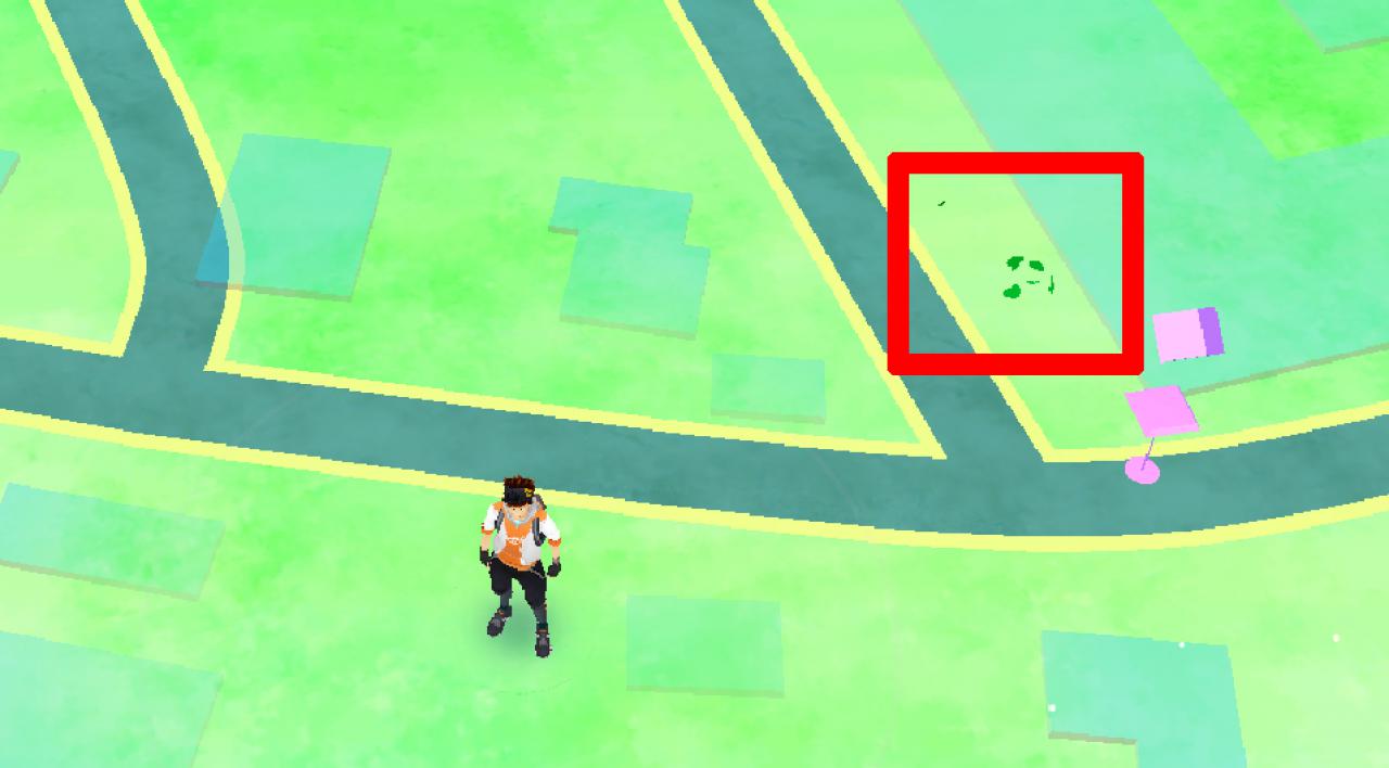[12/07/2016] Raschelndes Gras in der Umgebung deutet darauf hin, dass sich hier Pokémon befinden könnten.