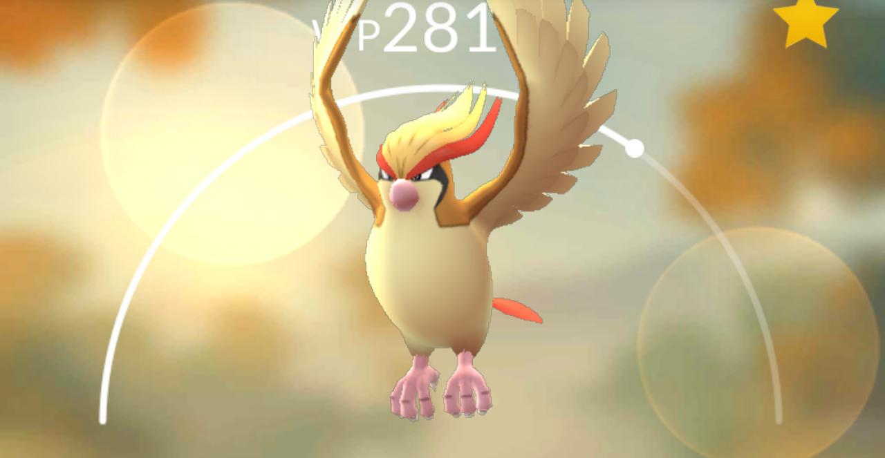 [12/07/2016] Kurz zusammengefasst: WP symbolisieren die Stärke eures Pokémon.