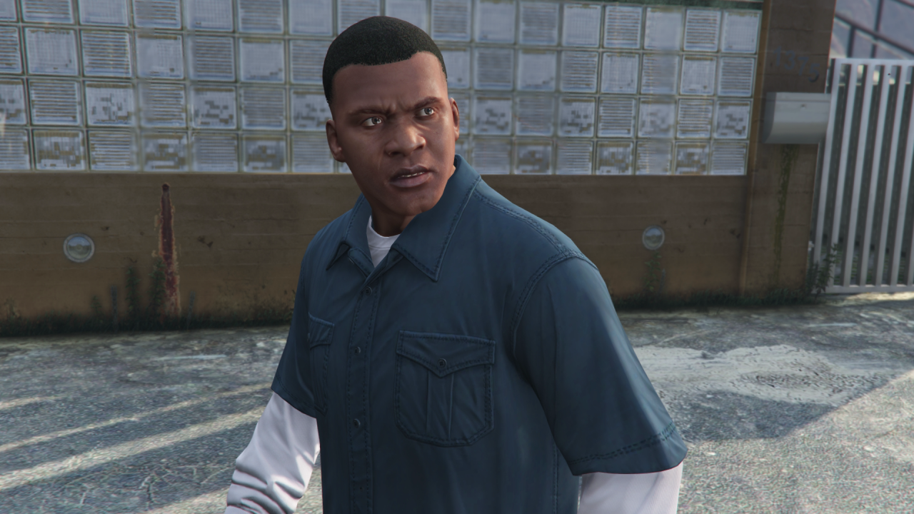 GTA 5: Vanilla (06)