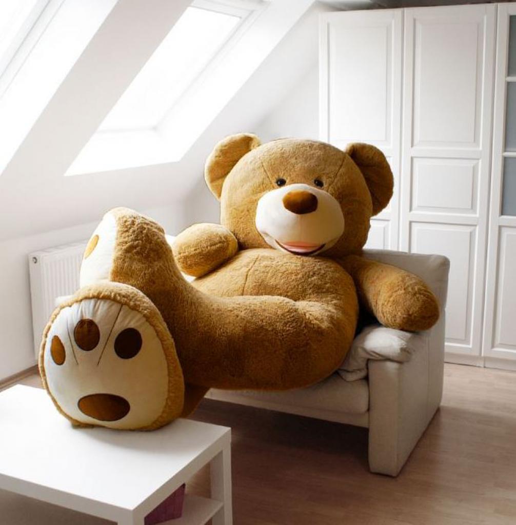 [02/12/2016] Teddy
