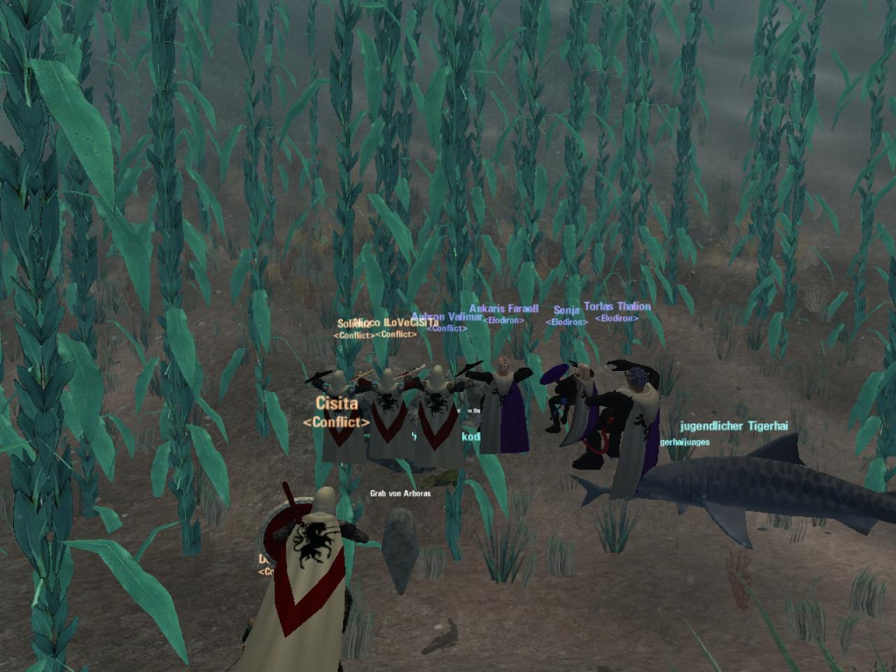 [04/02/2017] In Trials of Atlantis konnten die Charaktere sogar unter Wasser kämpfen und durch Dungeons schwimmen.