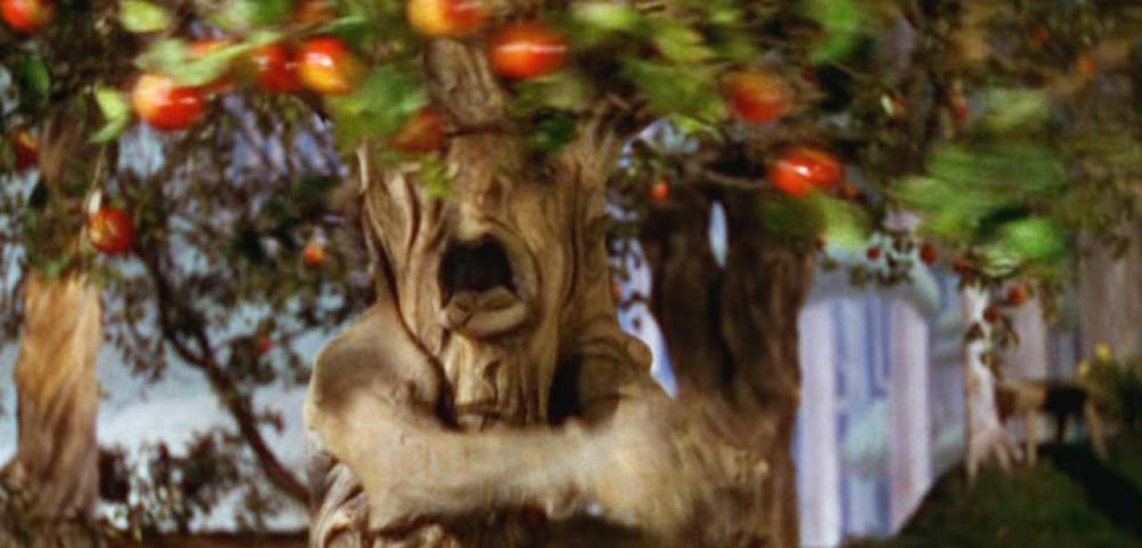 [28/04/2017] Autsch! Der lebendige Apfelbaum motzt Dorothy (Judy Garland) rüde an.