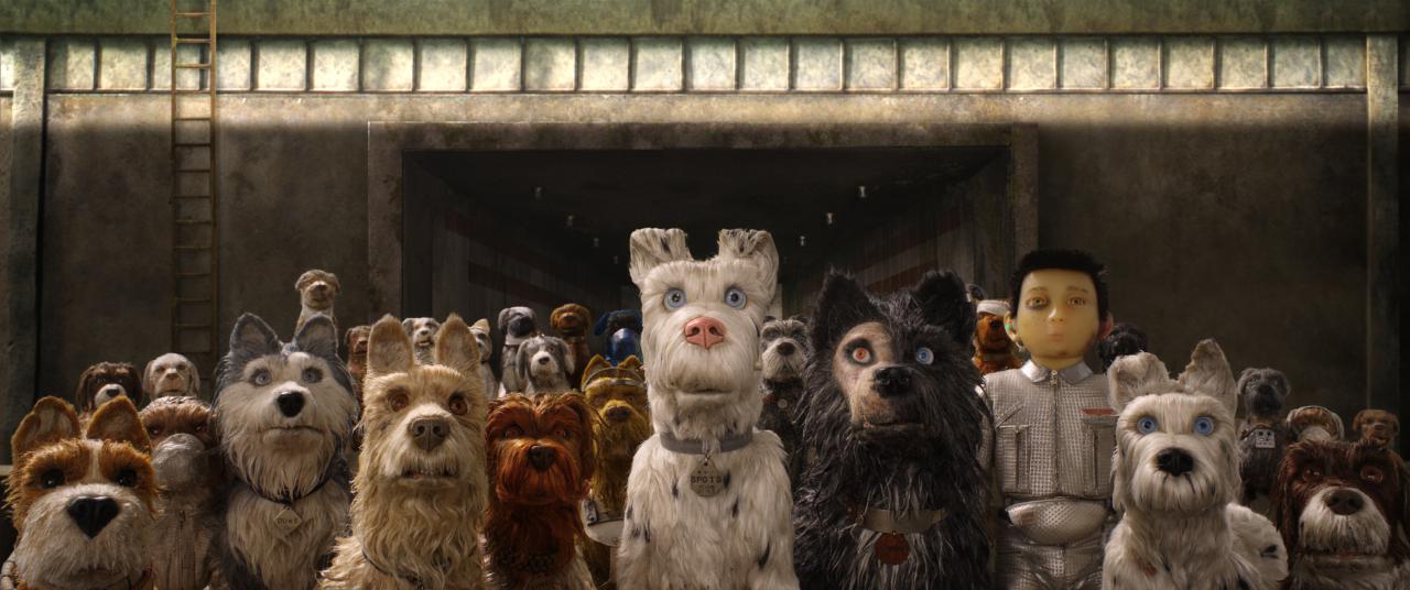 Szenenbild aus "Isle of Dogs - Ataris Reise" (2018) - Atari steht in einer Gruppe von Hunden