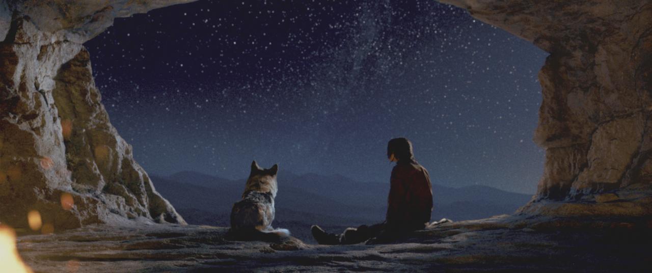 Szenenbild aus "Alpha" (2018)