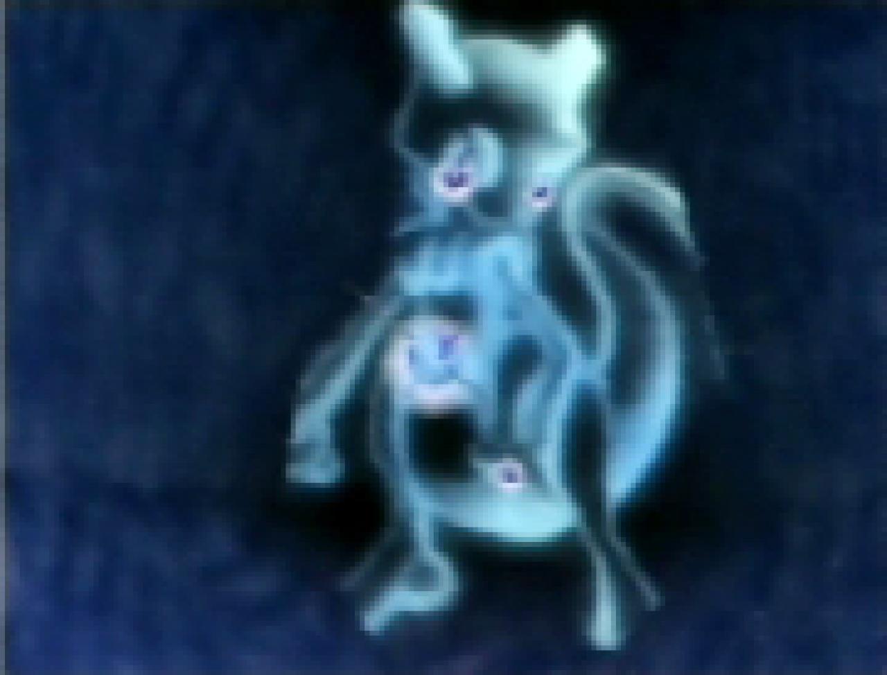 [21/09/2018] Neben den Taschenmonstern solltet ihr auch die Handvoll Pokémon-Sternbilder fotografieren.