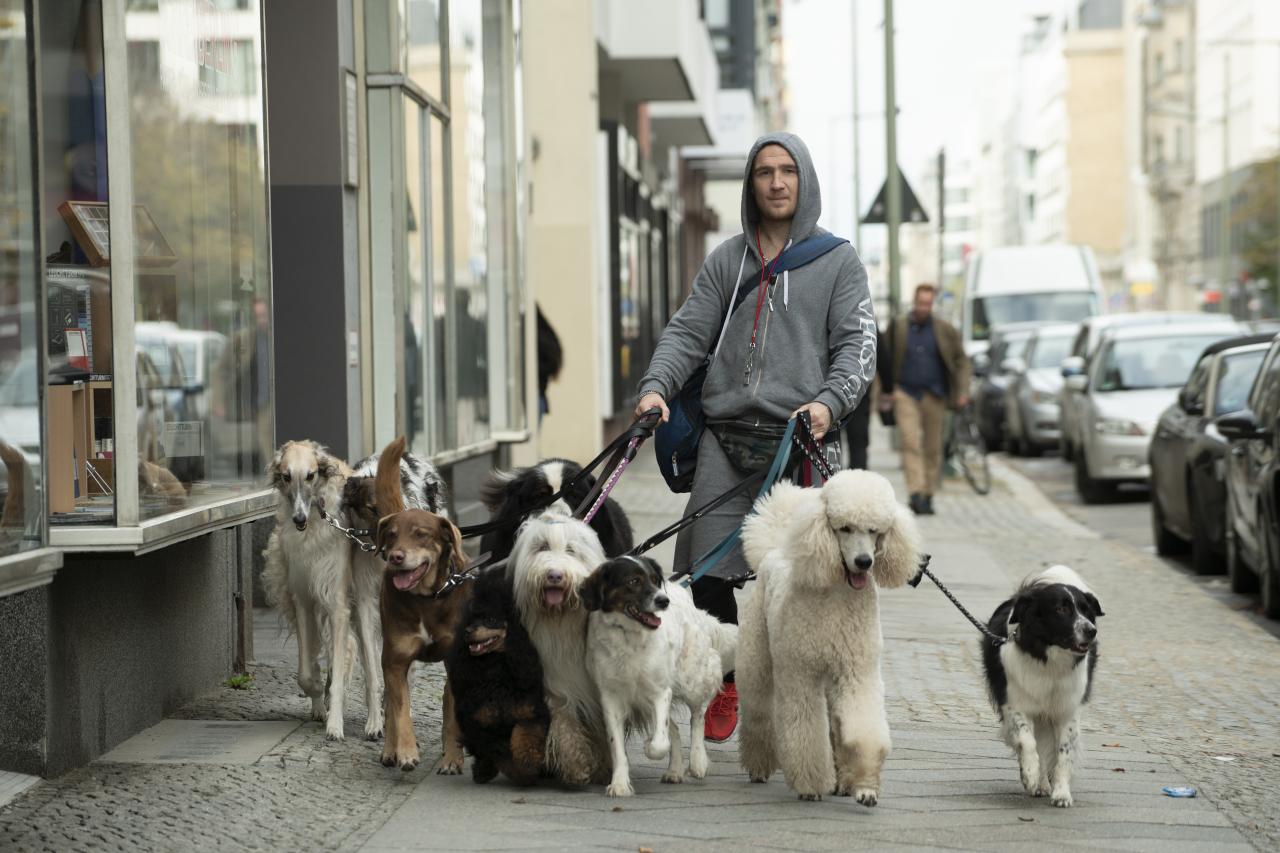 Szenenbild aus "Wuff"