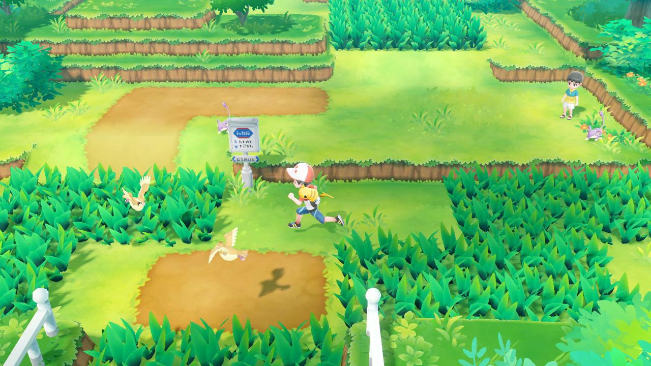In den neuen Pokémon-Spielen für die Switch seht ihr wilde Pokémon schon in der Oberwelt, das macht das Spiel leichter.
