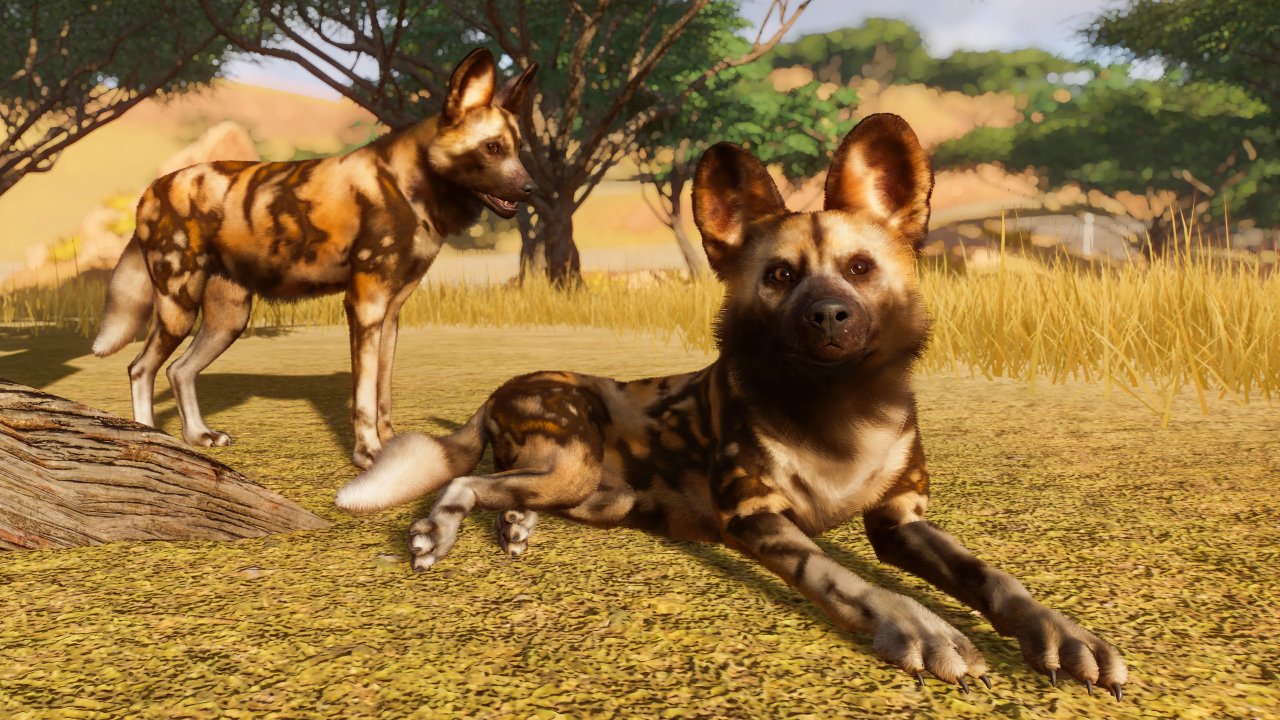 [10/06/2019] Planet Zoo in der E3-Vorschau (2).