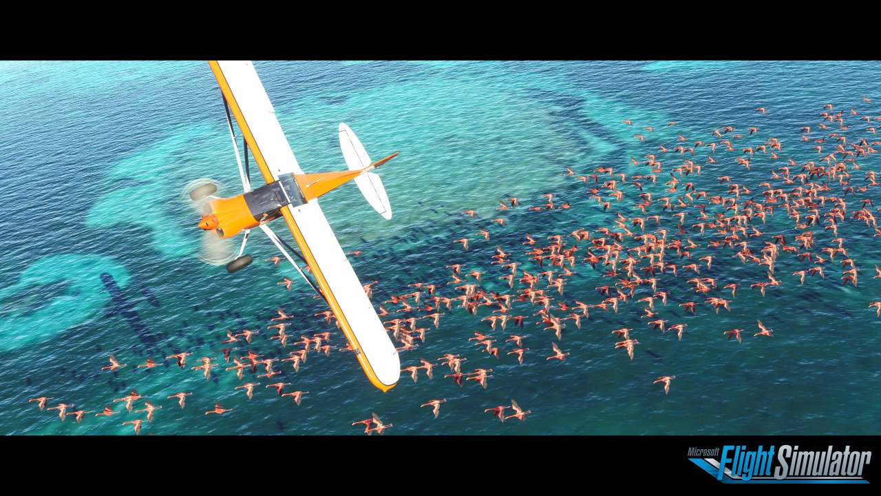 [17/07/2019] Microsoft Flight Simulator: VR, Kampagne, Realismus, Alpha-Start - Entwickler-Interview (3)