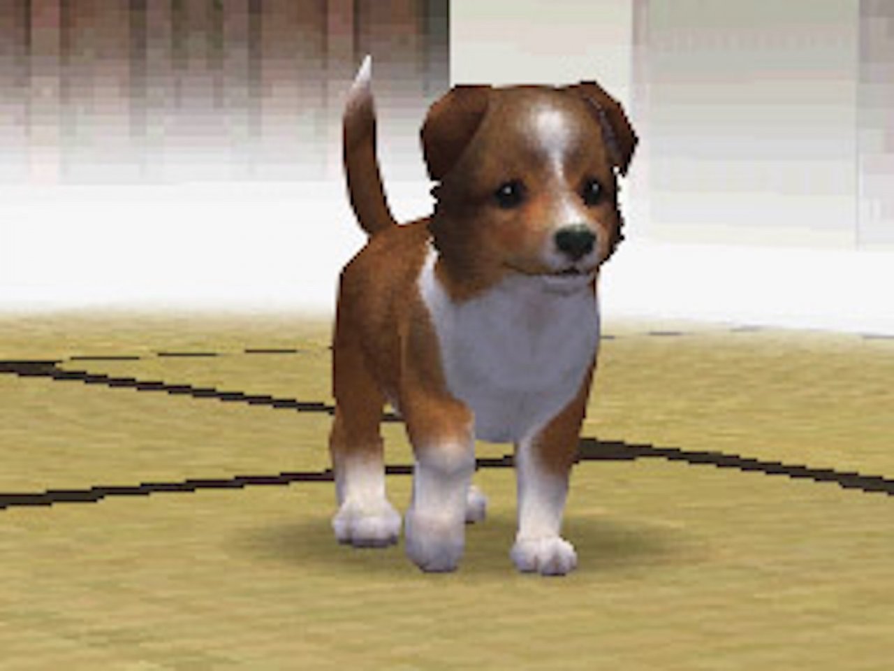 [07/02/2020] Miyamoto liebt Shetland Sheepdogs und züchtet in seiner Freizeit sogar selbst Hunde. Diese Liebe zum besten Freund des Menschen war letztendlich auch der Grund, warum er Nintendogs (2005) auf den Weg brachte.