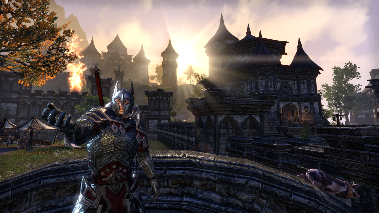 [01/04/2020] In ESO werden Magie, Geschick uns Stärke beliebig miteinander kombiniert. Ein zaubernder Krieger ist in Tamriel nicht die Ausnahme, sondern die Regel. &nbsp;