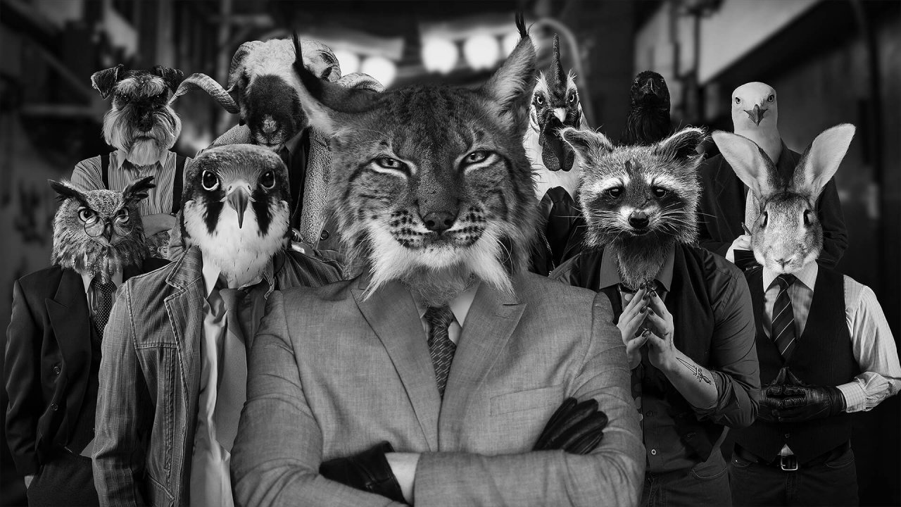 [20/11/2020] Chicken Police - Paint it RED!: Tierisch gutes Point&Click-Adventure im Film-Noir-Stil (3)