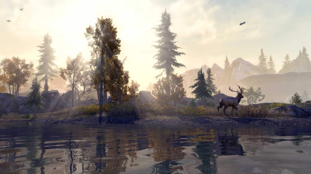 [01/04/2021] TESO: Dank der 