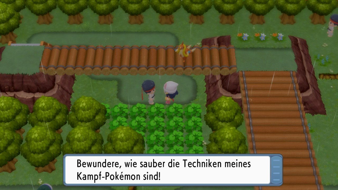 [16/11/2021] In der Theorie sind die hinterherlaufenden Pokémon ein tolles Feature, leider hapert es aber an der Umsetzung. Hier hat sich Bojelin aufgrund zu viel Abstand teleportiert, ist aber nicht hinter uns, sondern auf der Brücke gelandet.