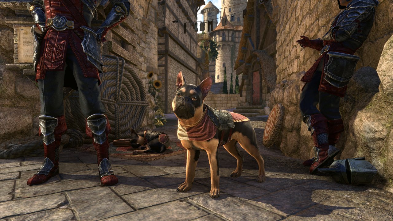 [27/01/2022] The Elder Scrolls Online: High Isle - Dieses Pet winkt bei der Vorbestellung des Kapitels.