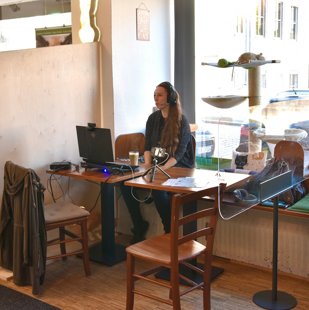 [08/07/2022] 400-Follower-Specisl-Stream aus dem Katzentempel Nürnberg (09/2021)