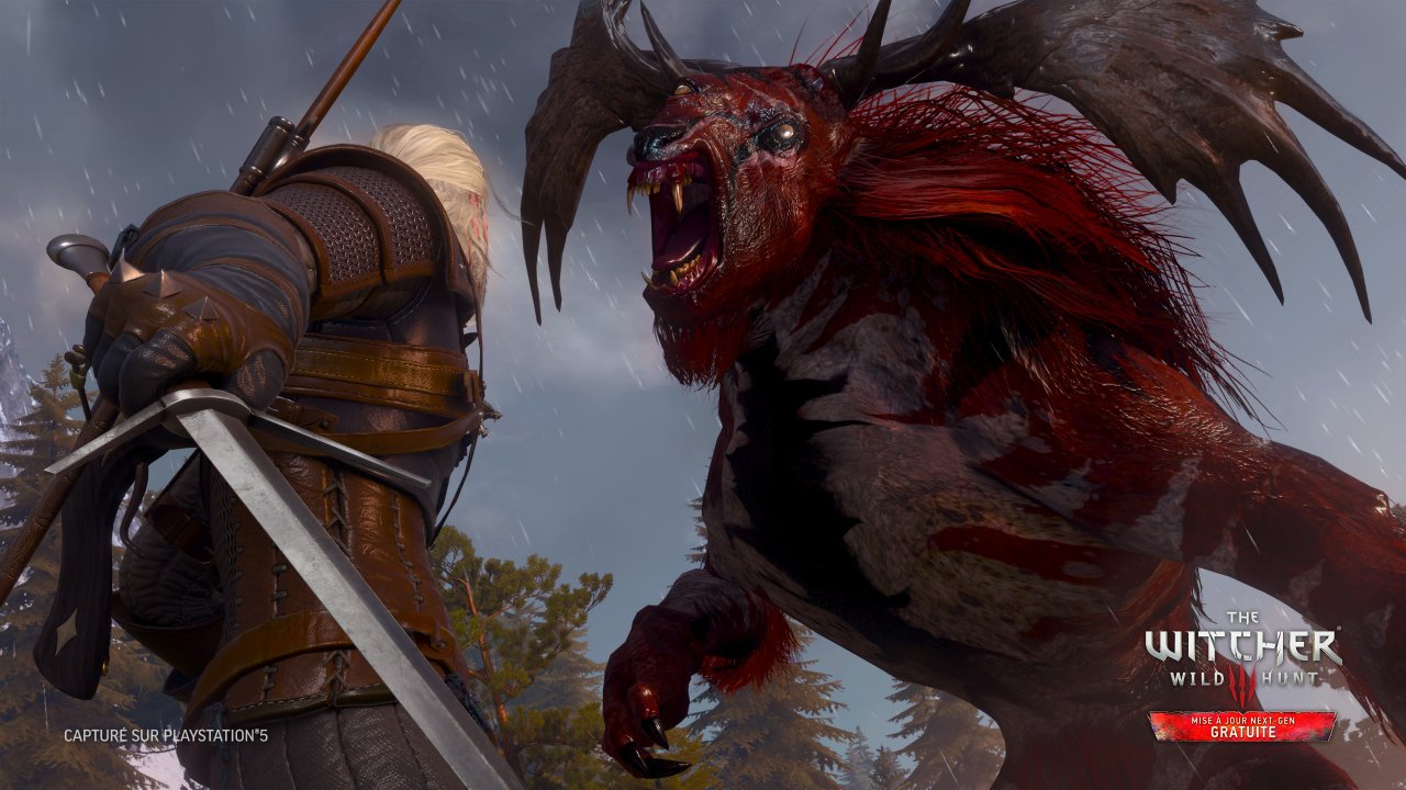 [14/12/2022] The Witcher 3 im Next-Gen-Check. (4)
