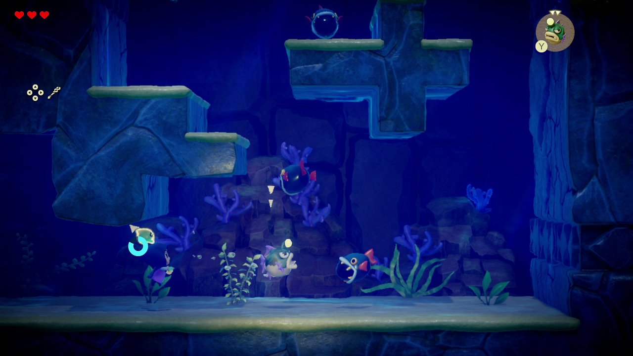Zelda schwimmt durchs Wasser