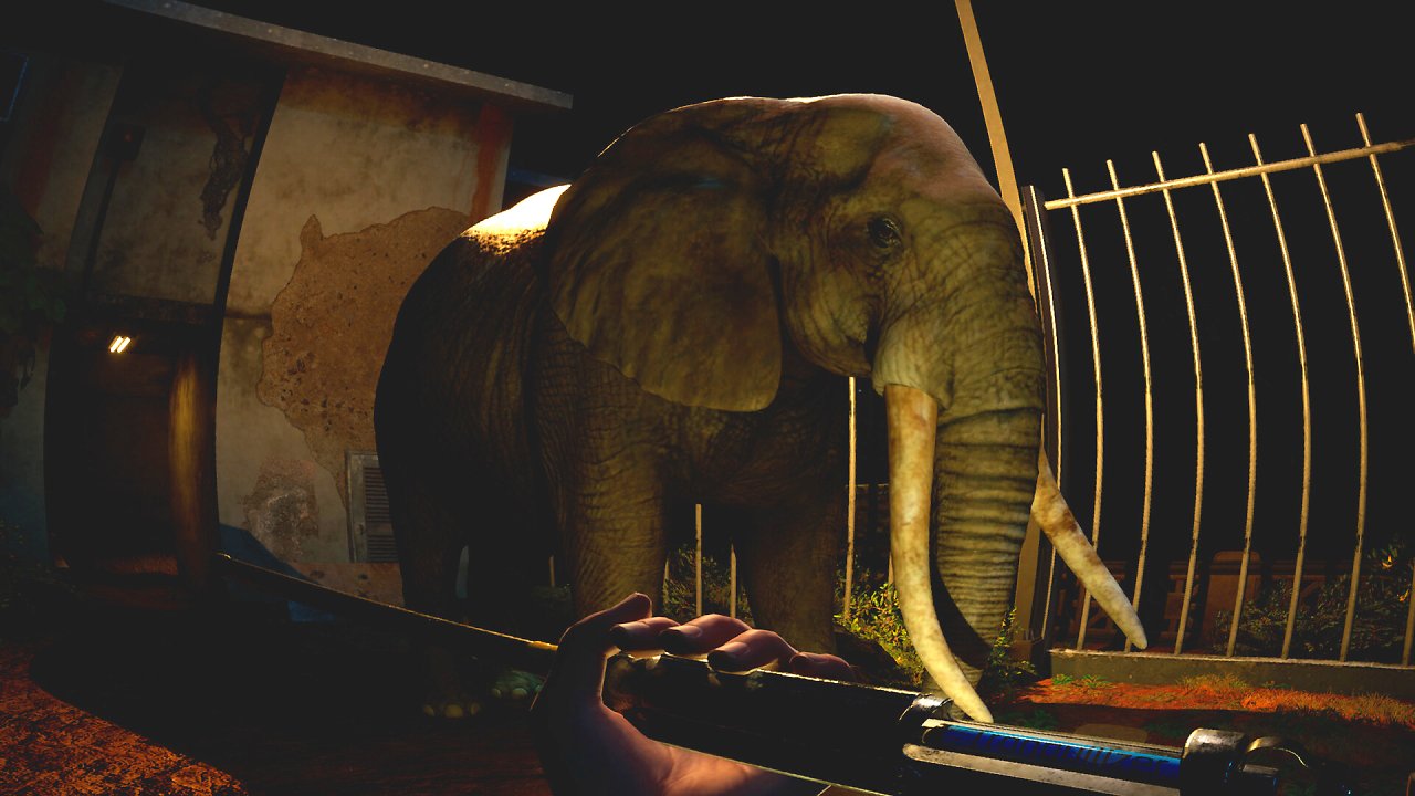Ein Elefant in einem Gehege