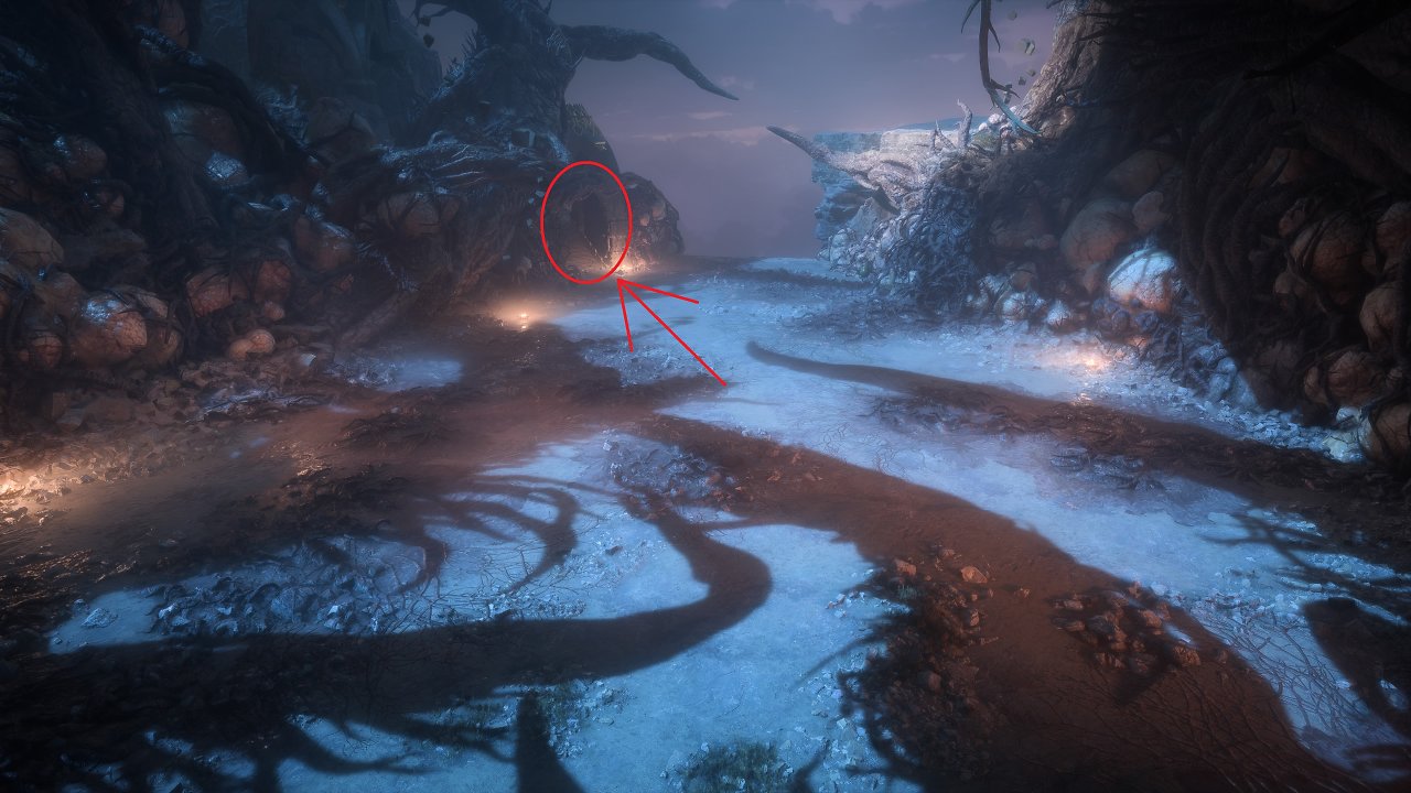 Nest des Drachen