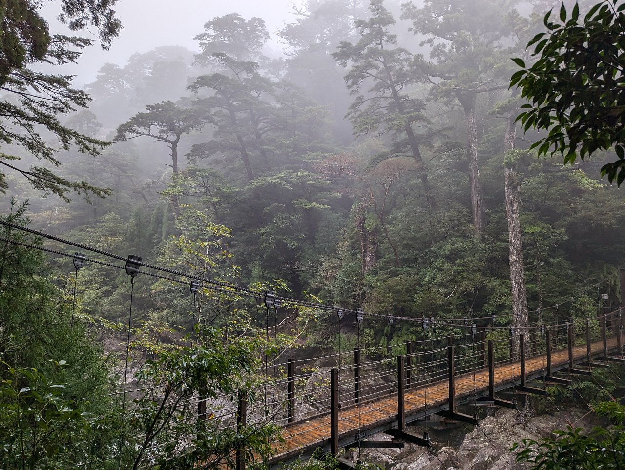[13/12/2024] Mit dem Bus hierherkommen? Eine Qual. Spätestens in entlegenen Gegenden wie Yakusugiland auf Yakushima ist ein Mietwagen ein Muss. Und somit auch eine Führerschein-Übersetzung.