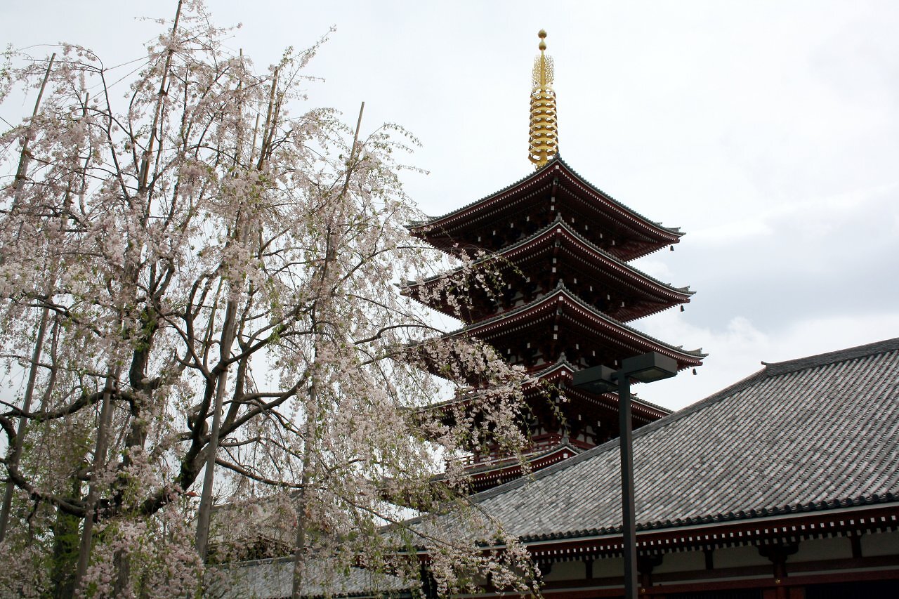 [16/01/2025] Der Tempeldistrikt Asakusa ist eines der Highlights von Tokyo.
