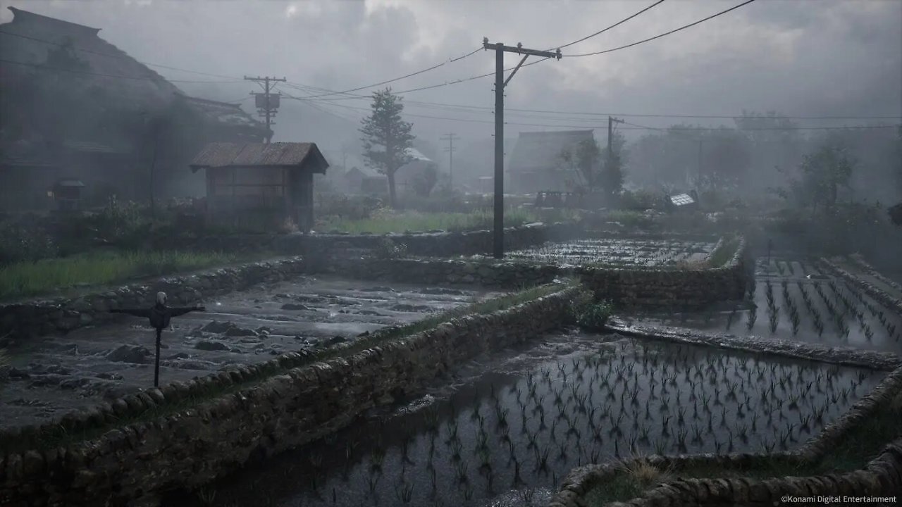 Reisfelder in Silent Hill f