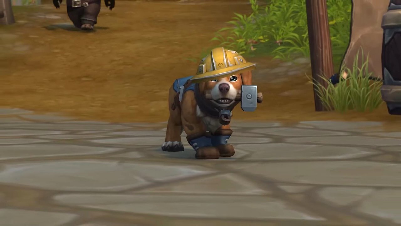 [29/01/2026] WoW: Neues Benefiz-Haustier Bob baut Dinge und hat drei Deko-Items im Gepäck