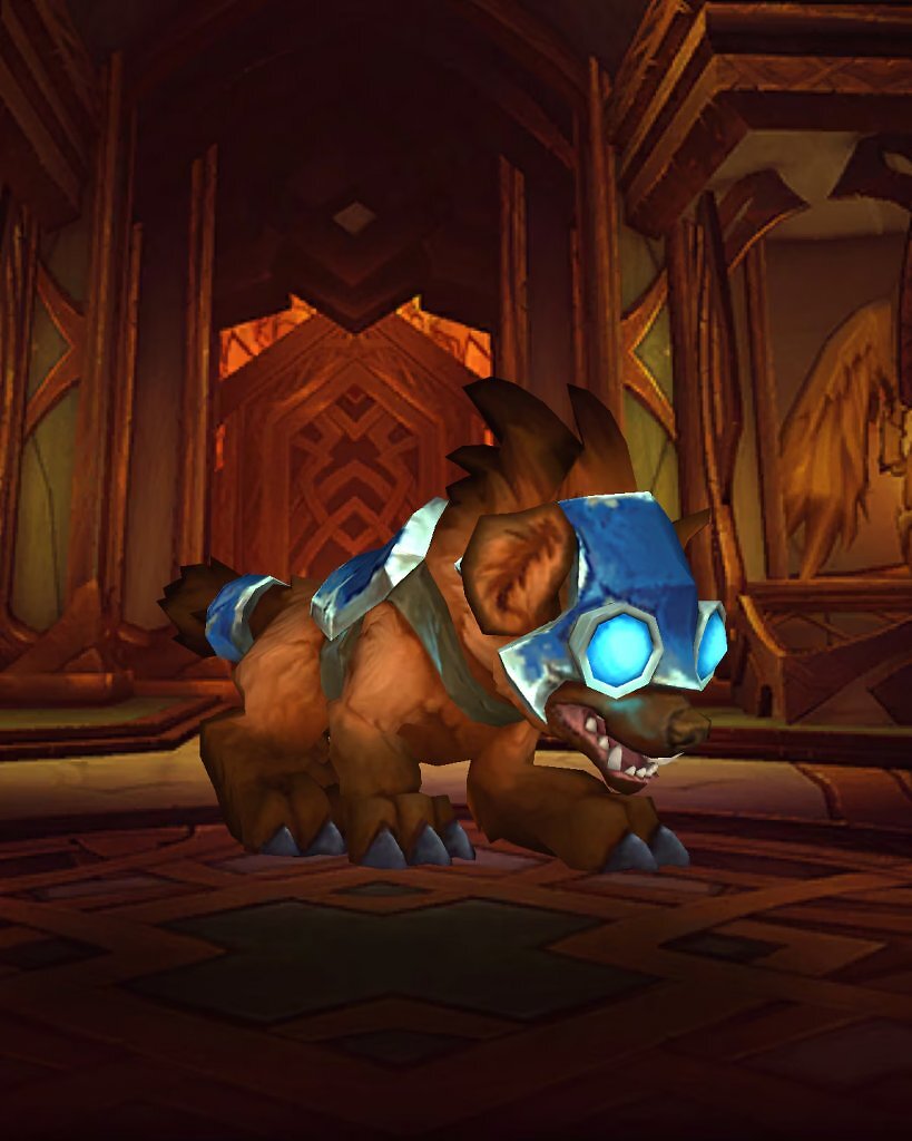 [27/01/2026] Strolchi