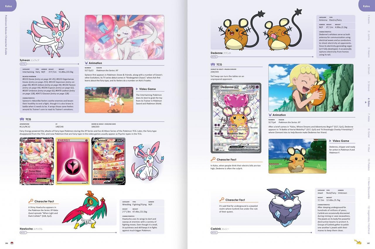 Pokémon Buch Anime Sammelkartenspiel TCG