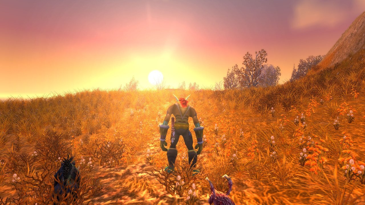 WoW Classic Screenshot mit einem Charakter in der Zone Westfall, der während eines stimmungsvollen Sonnenuntergangs oder Sonnenaufgangs in die Landschaft blickt.