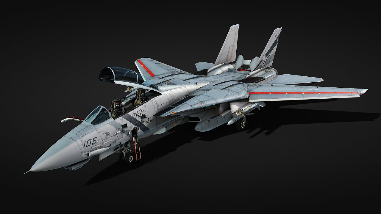 F-14D (Rang VIII)