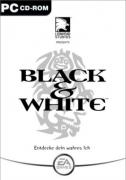 Black & White (PC)