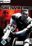 Project: Snowblind (PC)