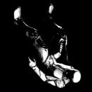 The Fall (PC)