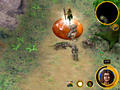 Screenshot zu The Art of Magic - 2001/11/13566manaspender.jpg