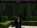 Screenshot zu Versailles 2 - 2002/02/ACFF15.jpg