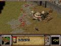 Screenshot zu Dragon Throne: The Battle of Red Cliffs - 2002/02/aftermath.jpg