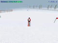 Screenshot zu Winterspiele 2002 - 2002/03/super-g.jpg