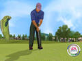 Screenshot zu Tiger Woods PGA Tour 2002 - 2002/04/putten.jpg