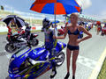 Screenshot zu Moto GP Ultimate Racing Technology - 2002/07/ACF42D.jpg